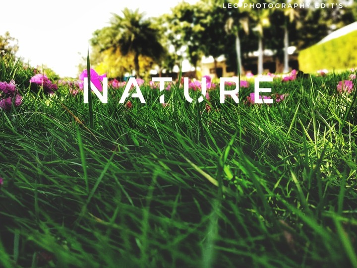 NATURE