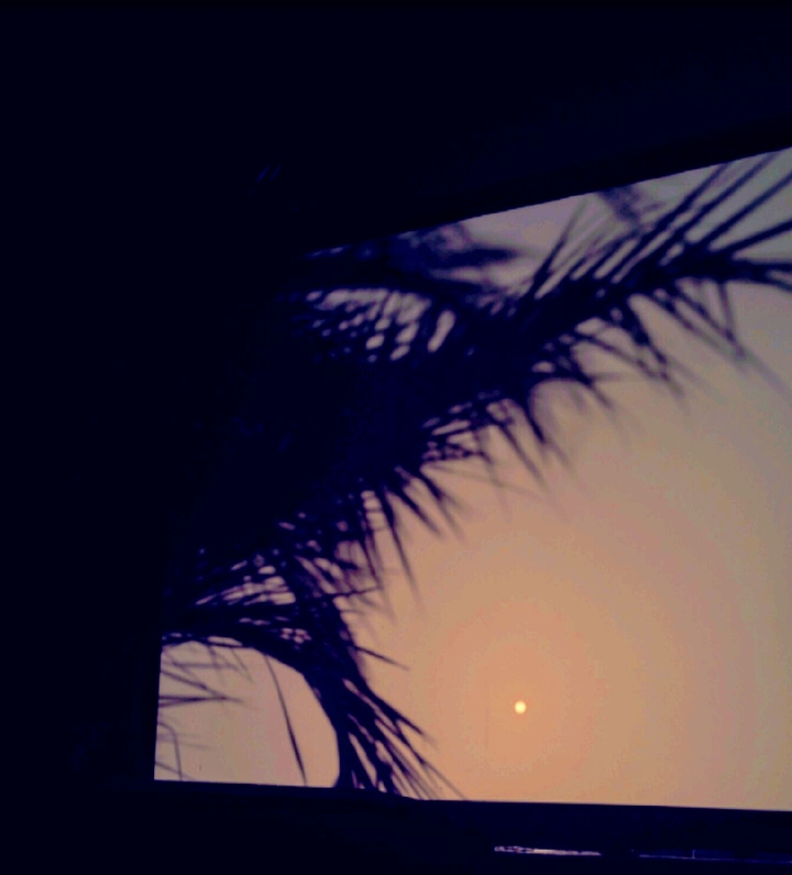 sun