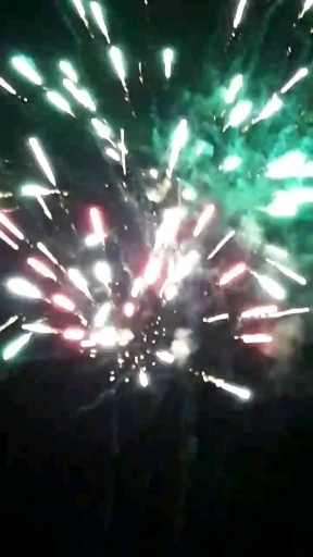 2019
