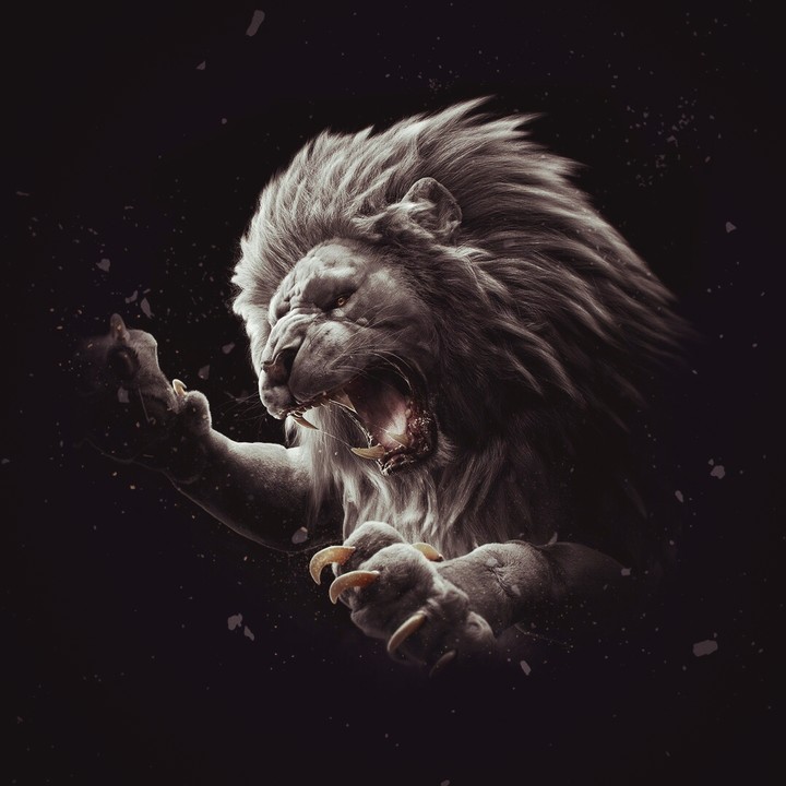 White lion