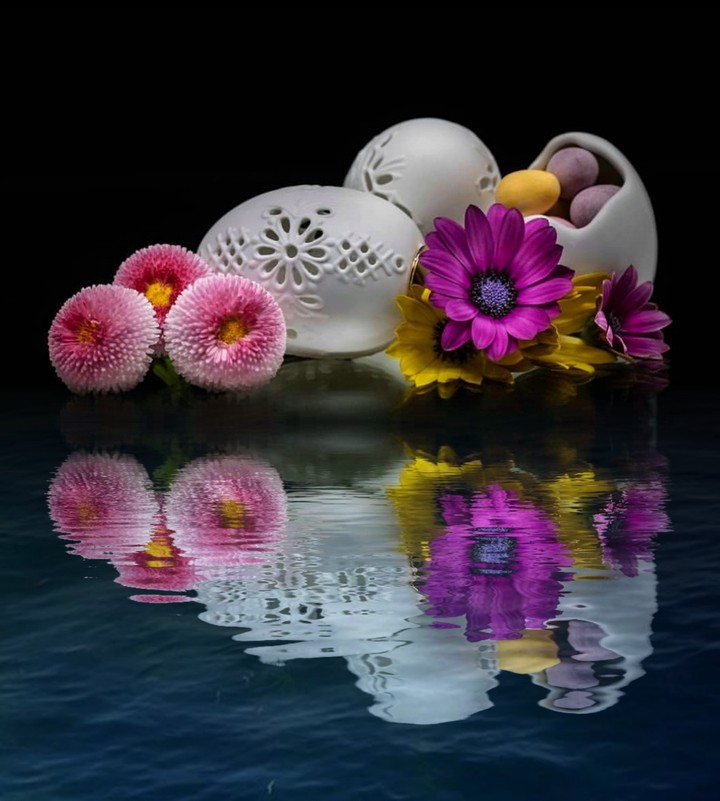 reflection