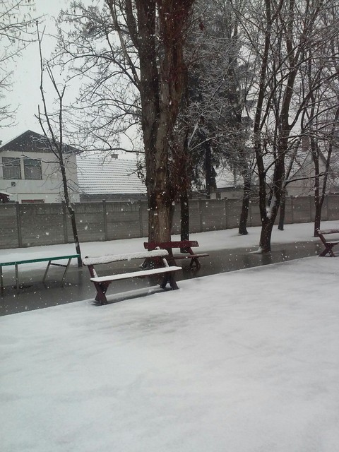 Winter