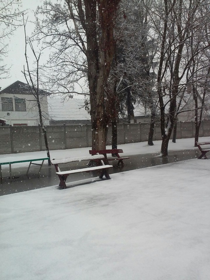 Winter