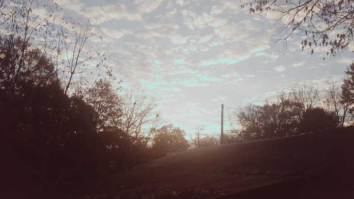 moring in Louisiana