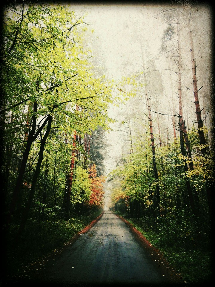 A path.