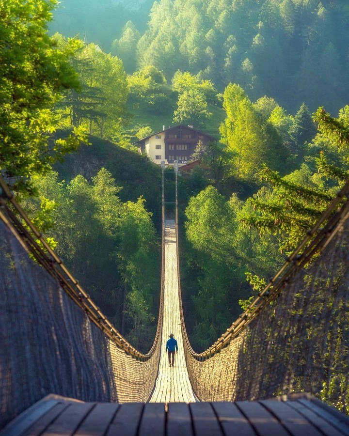 nature