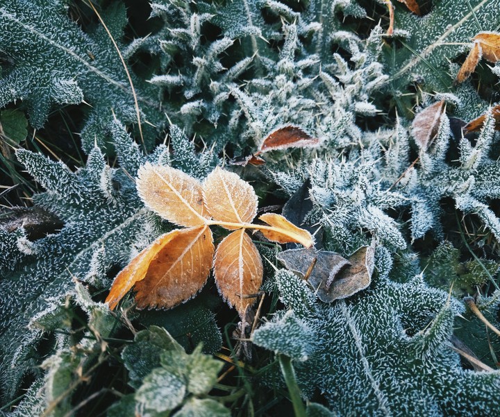 Winter is here