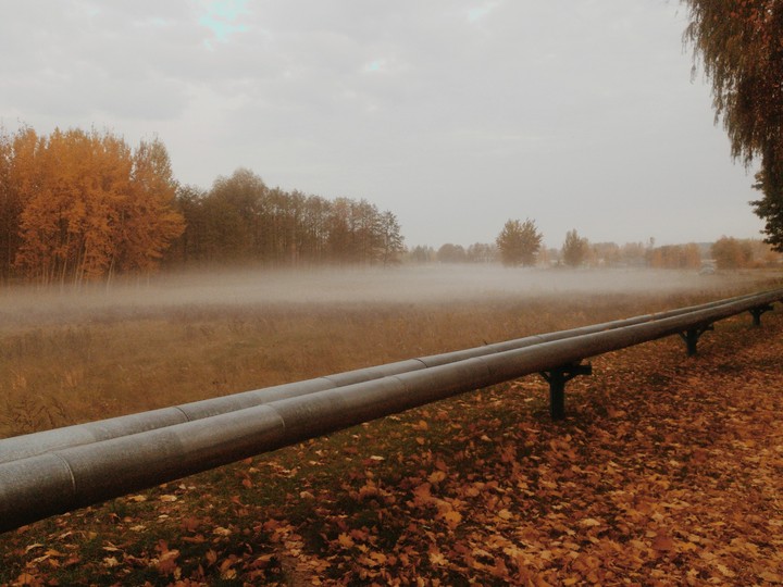 autumn