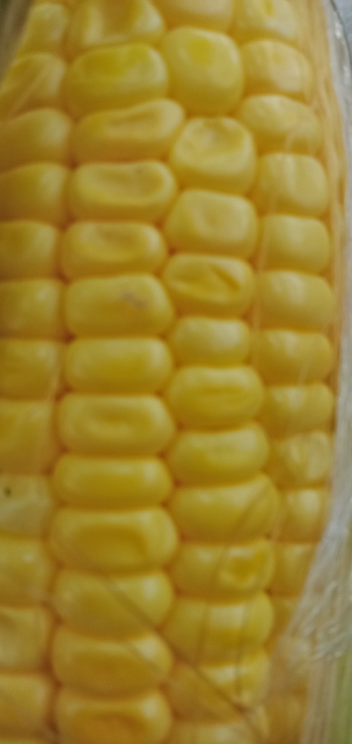sweet corn