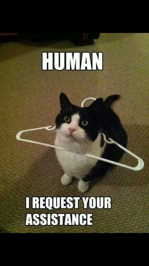 Help me human
