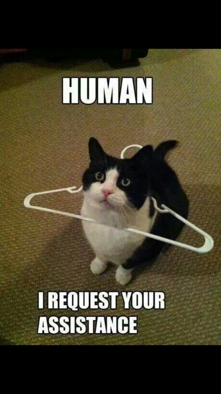 Help me human