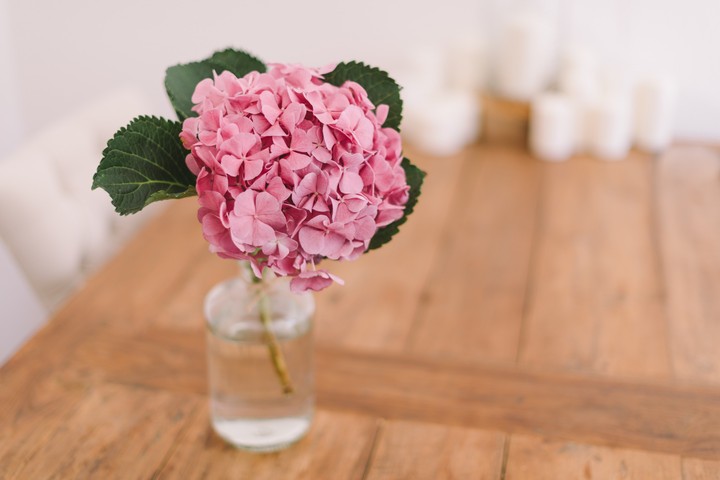 flower love