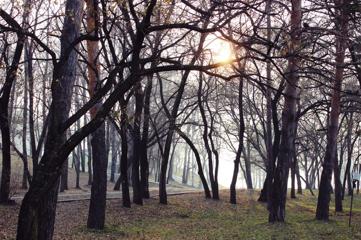 autumn