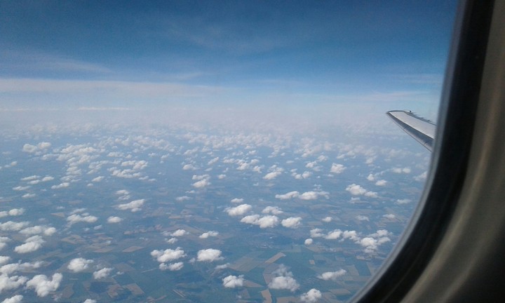 In the plane