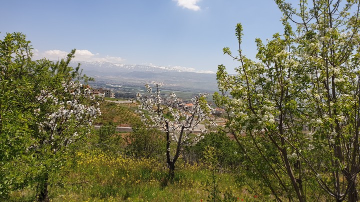 Lebanon, Bequaa