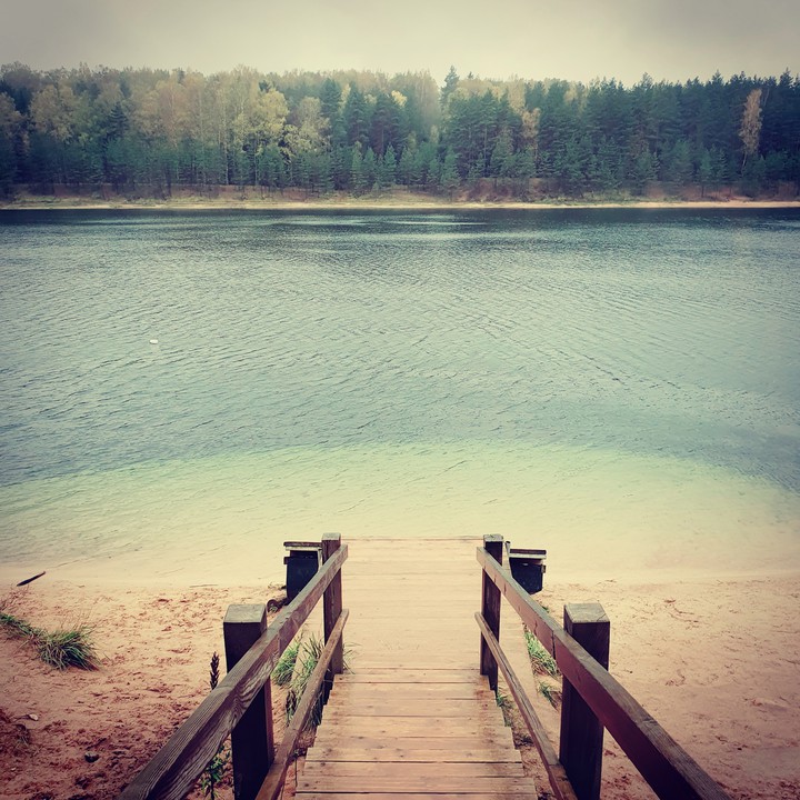 swim?