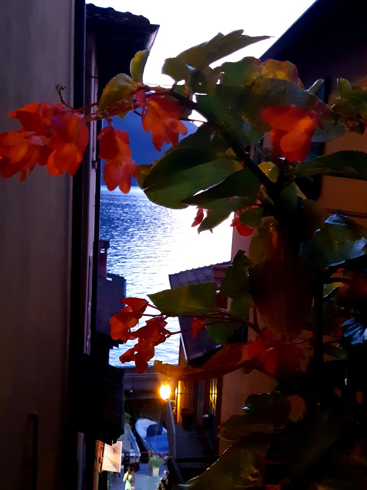 Evening in Italy