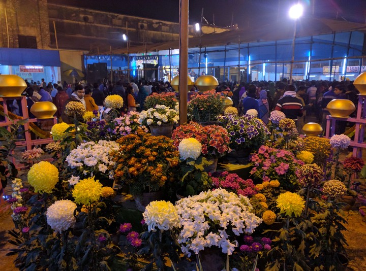 Awesome  flowers