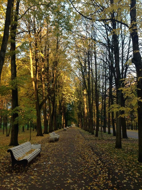 Осень