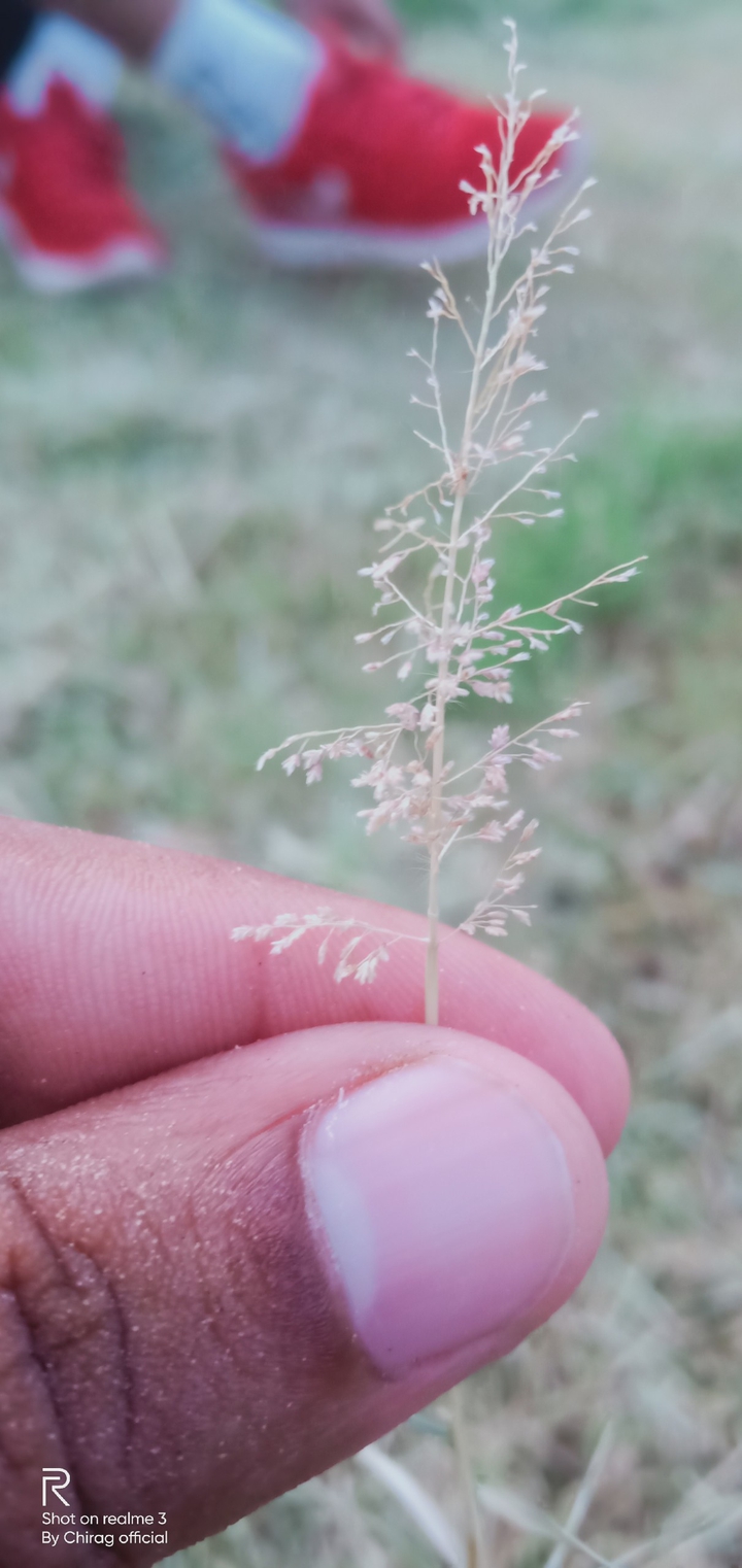 nature