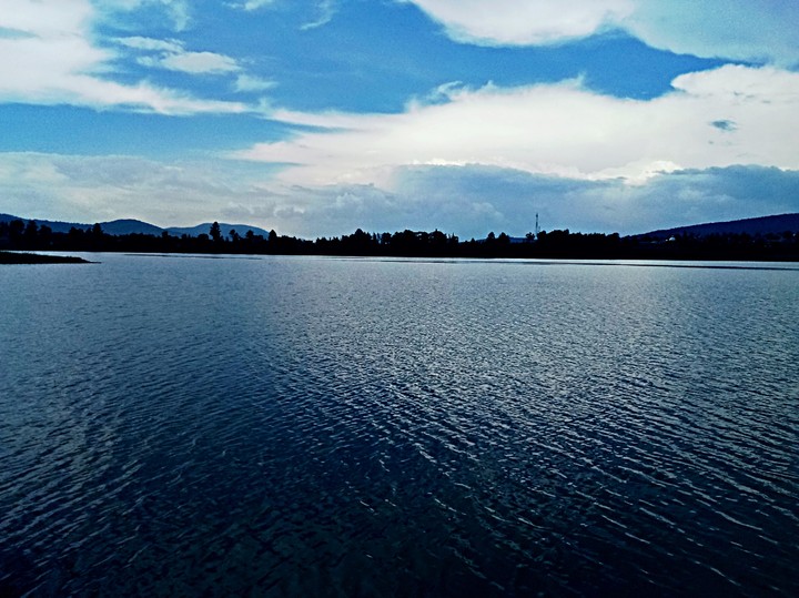 #brightness #presa #blue #water #tree #heaven