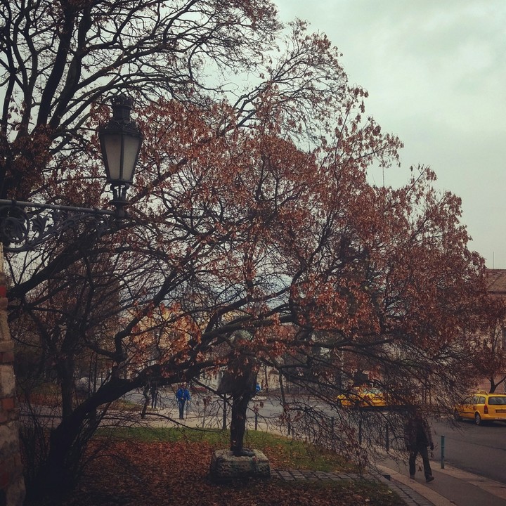 Beautiful colorful autumn