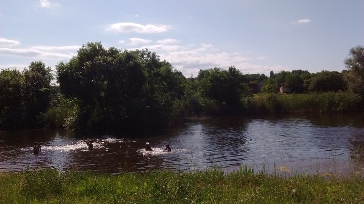 #Україна #літо #summer #краса