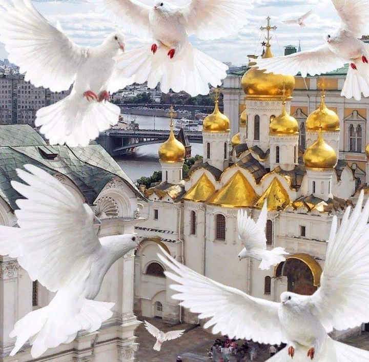 ХРАМЫ РОССИЯ ??