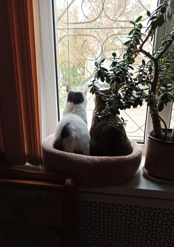 Eva&Simon
