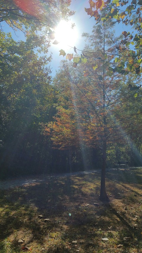 October No Filter