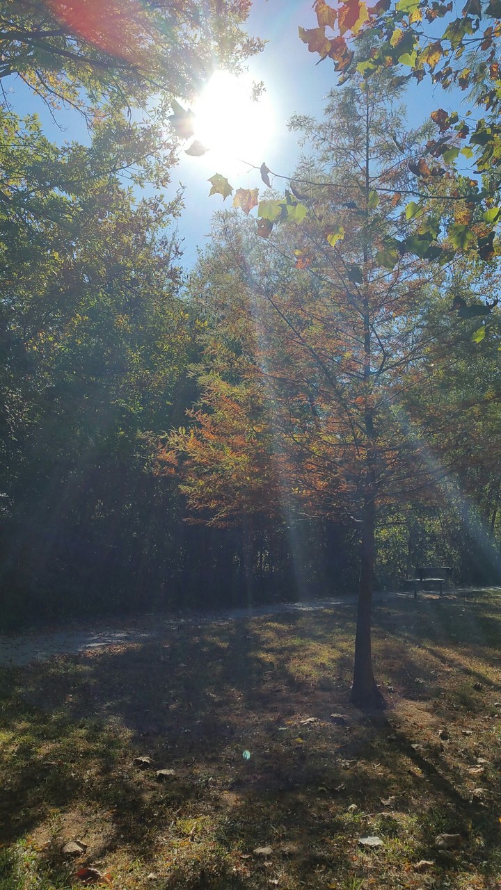 October No Filter