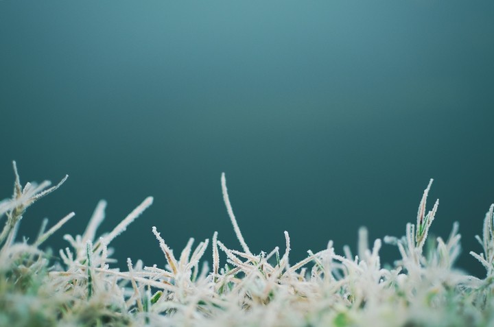 It's Frosty Today