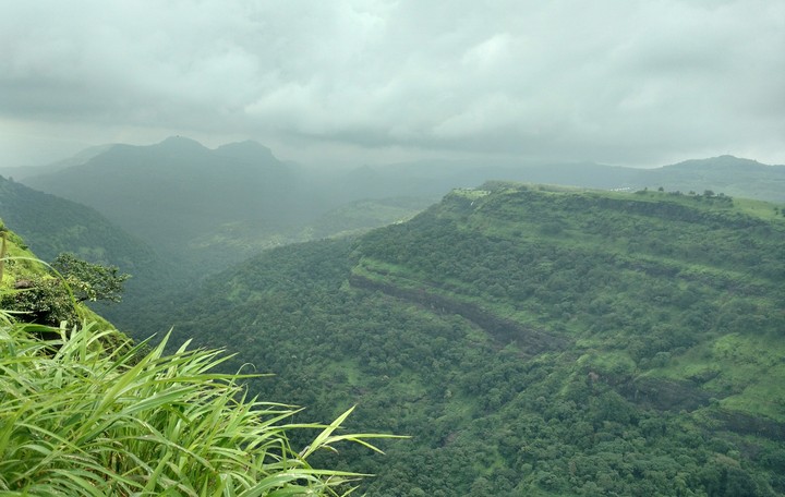 nature