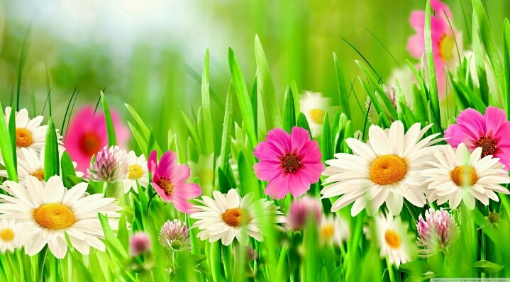 Beautiful..!!!!