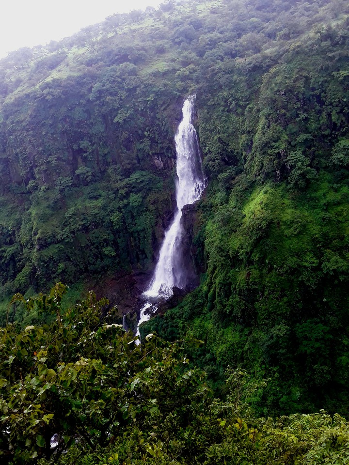 Waterfall and Lush Green