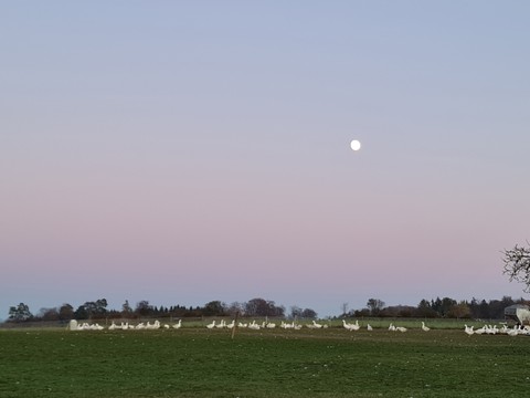 Abendrot