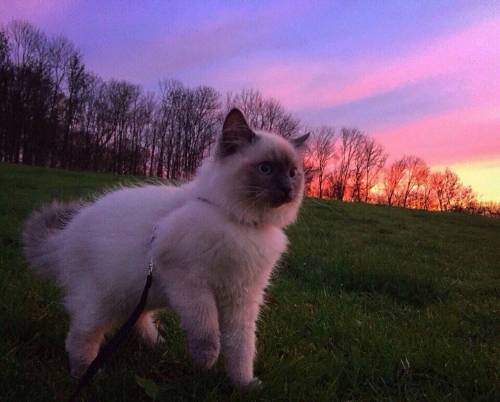 кр