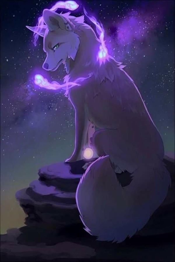 wolfie