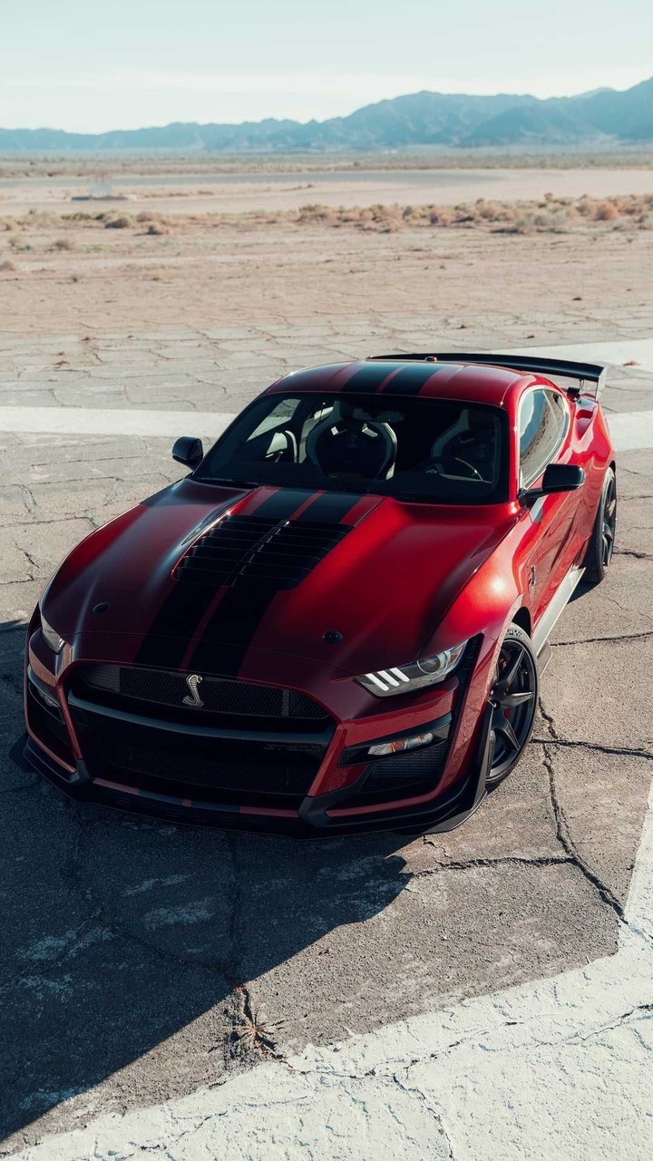 SHELBY
