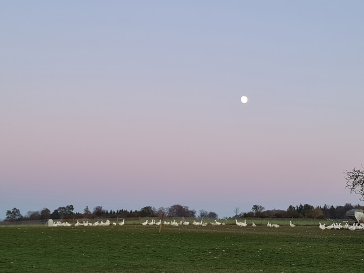 Abendrot
