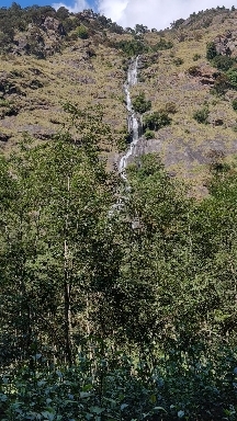 Lamtang