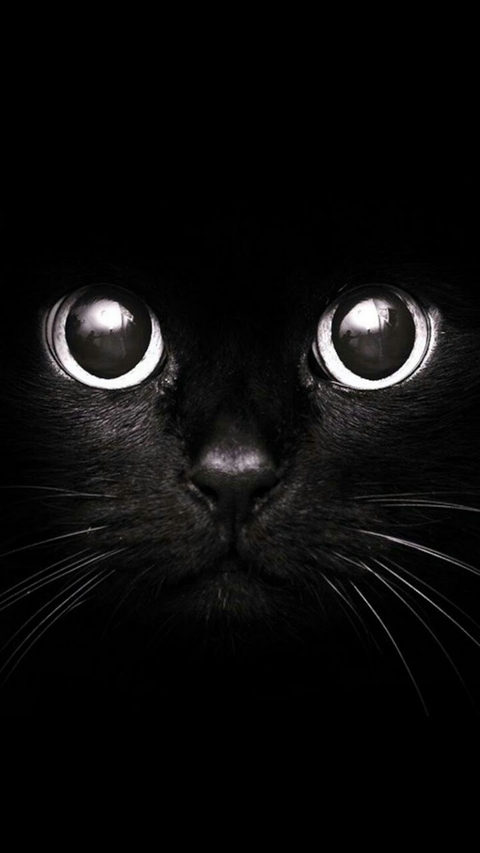 black eyes
