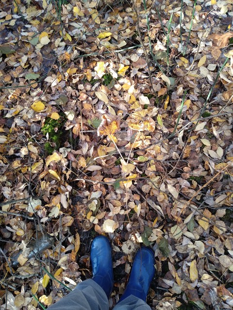 Autumn