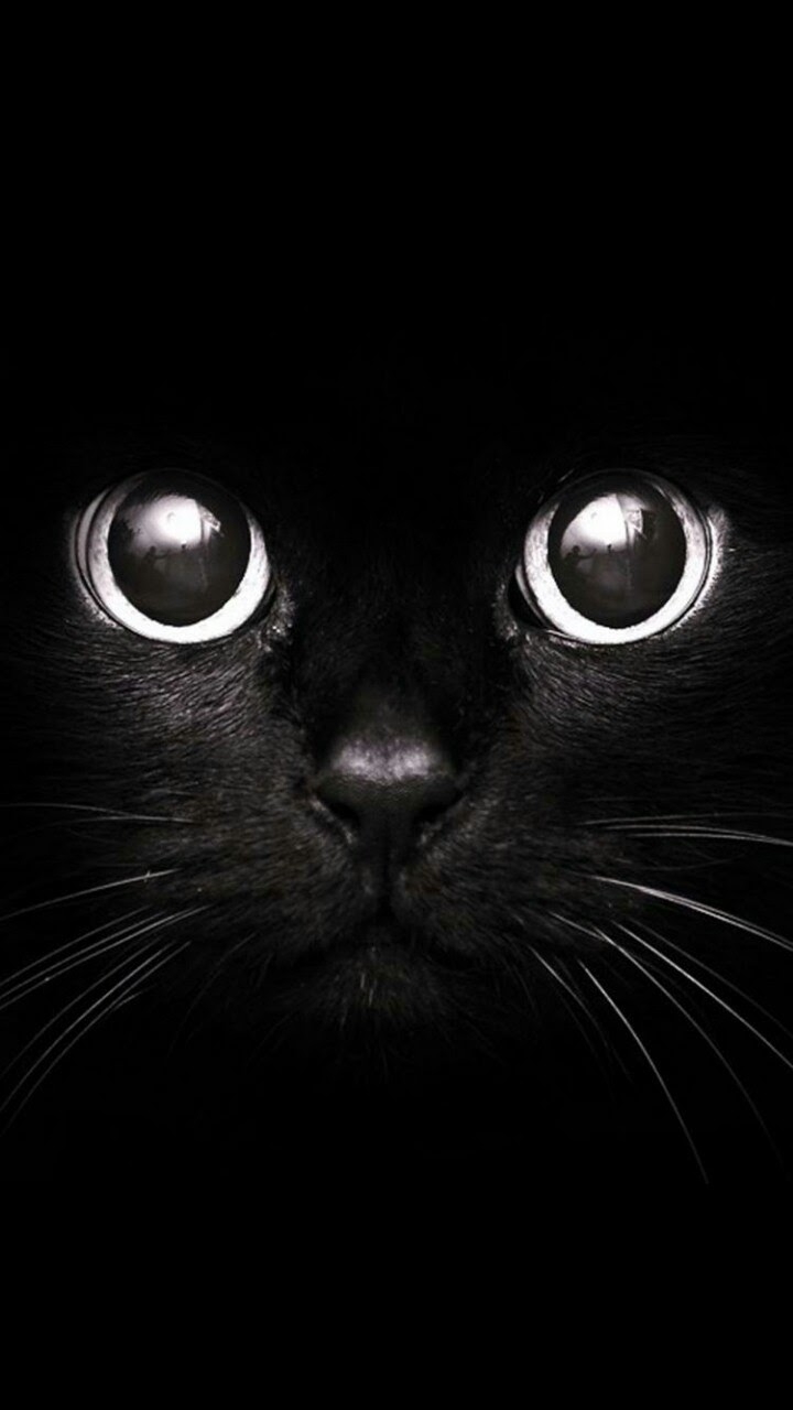 black eyes