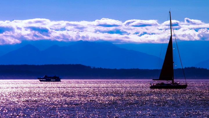 THE BOAT IN A BLIND SEA