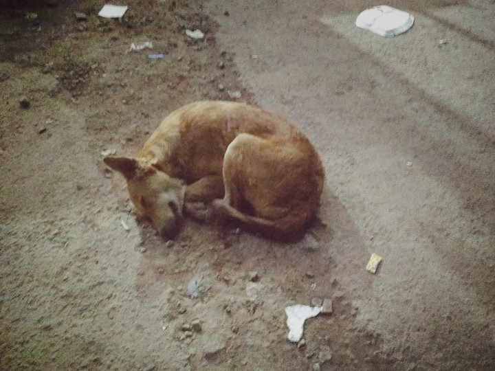 Sound Sleep!