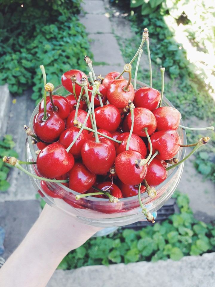 #cherries #cherry #ukraine #redandgreen #vsco