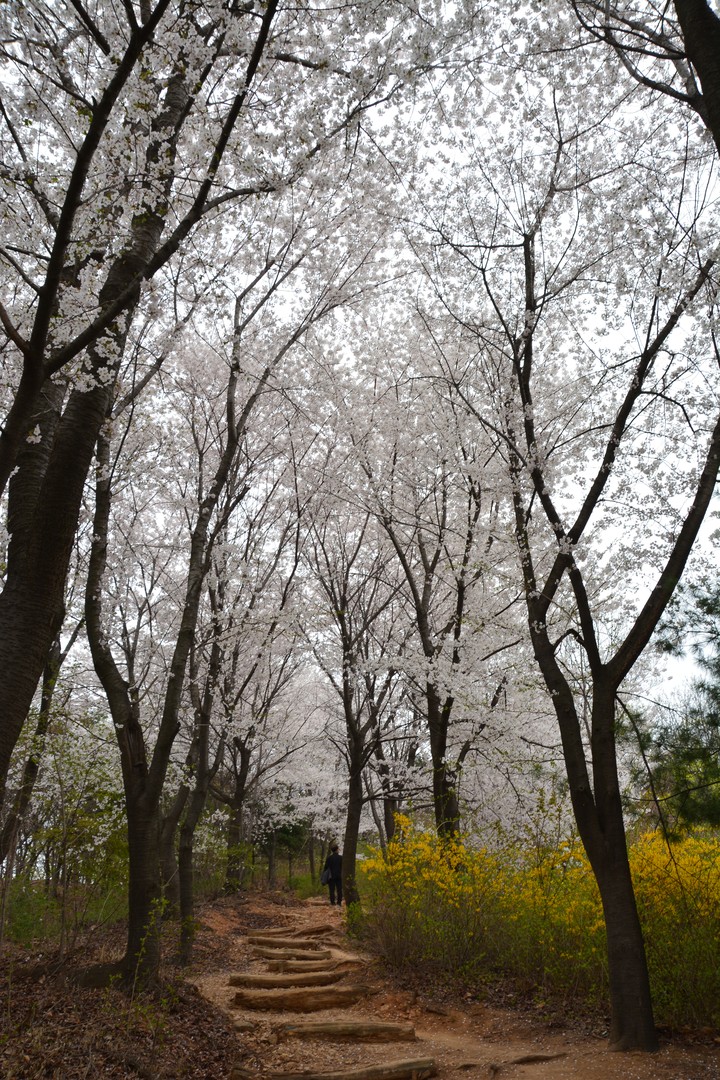 풍경이미지