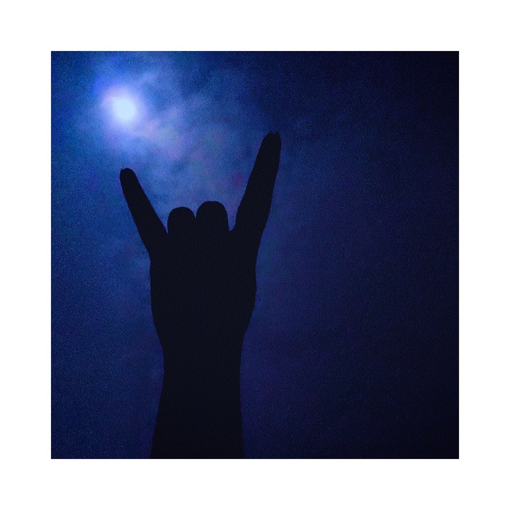 moonlight night