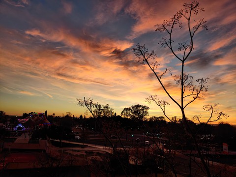 Winter Sunset